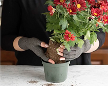 Load image into Gallery viewer, Arthritis Compression Gloves | Drug Free Arthritis Pain Relief